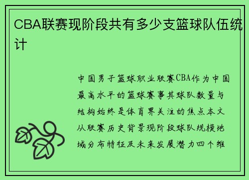 CBA联赛现阶段共有多少支篮球队伍统计